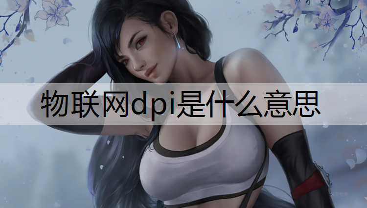 物联网dpi是什么意思