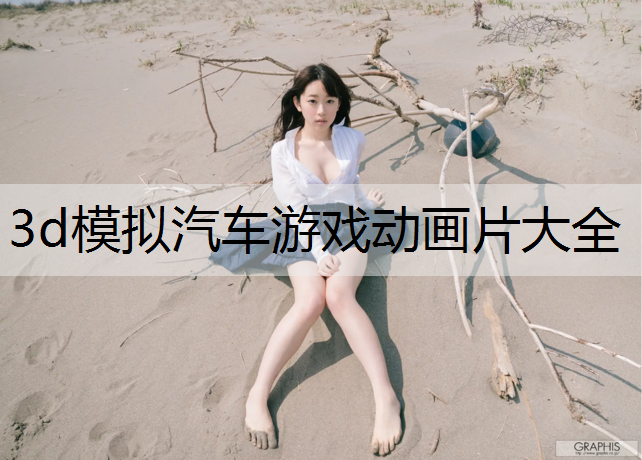 3d模拟汽车游戏动画片大全