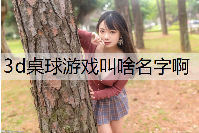 3d桌球游戏叫啥名字啊