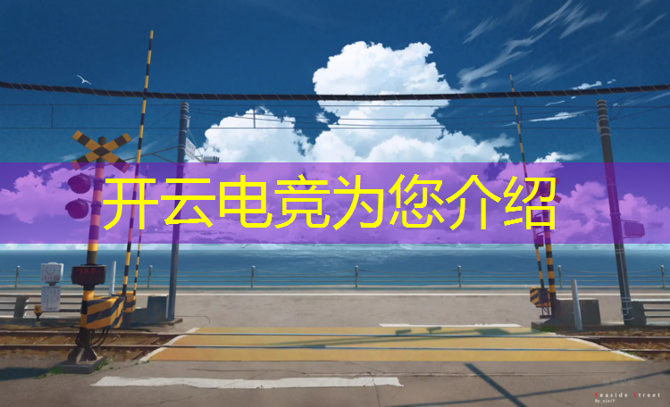 开云电竞为您介绍：王思聪电竞战队2018英雄联盟