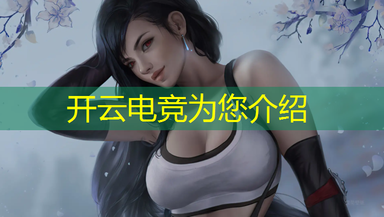 开云电竞为您介绍：电竞赛事运营与管理ppt