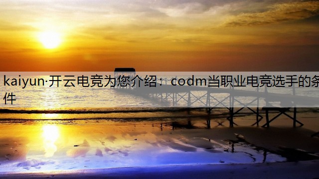 codm当职业电竞选手的条件